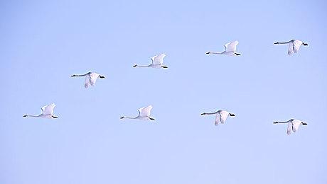 《英雄连3》大型更新档 提供多项玩家期待已久的改动